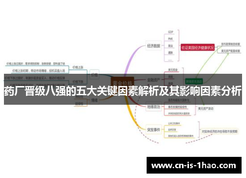 药厂晋级八强的五大关键因素解析及其影响因素分析