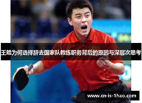 王皓为何选择辞去国家队教练职务背后的原因与深层次思考