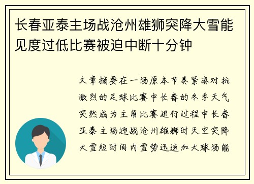 长春亚泰主场战沧州雄狮突降大雪能见度过低比赛被迫中断十分钟